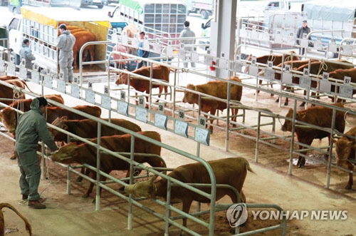 사진은 기사와 관계 없음. <연합뉴스>